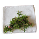 A set of 6 damask napkins Monograms MM