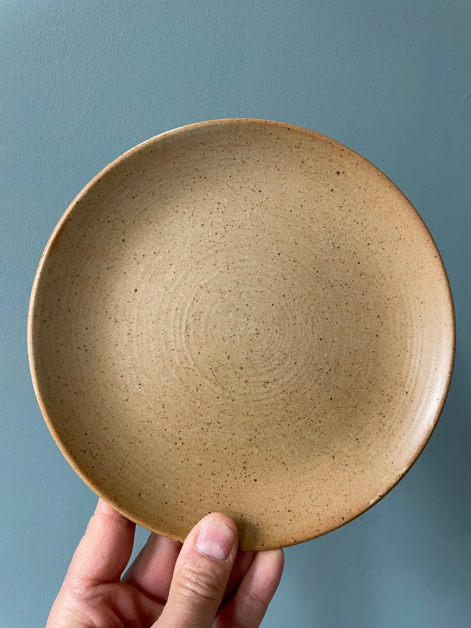 Set of 10 small vintage plates in Stoneware CNP Village France
