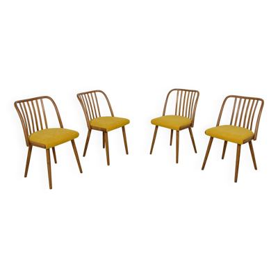 Chaises de salle à manger d'Antonín Šuman pour Ton, années 1960, lot de 4