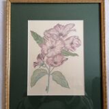 Tableau botanique fleurs roses