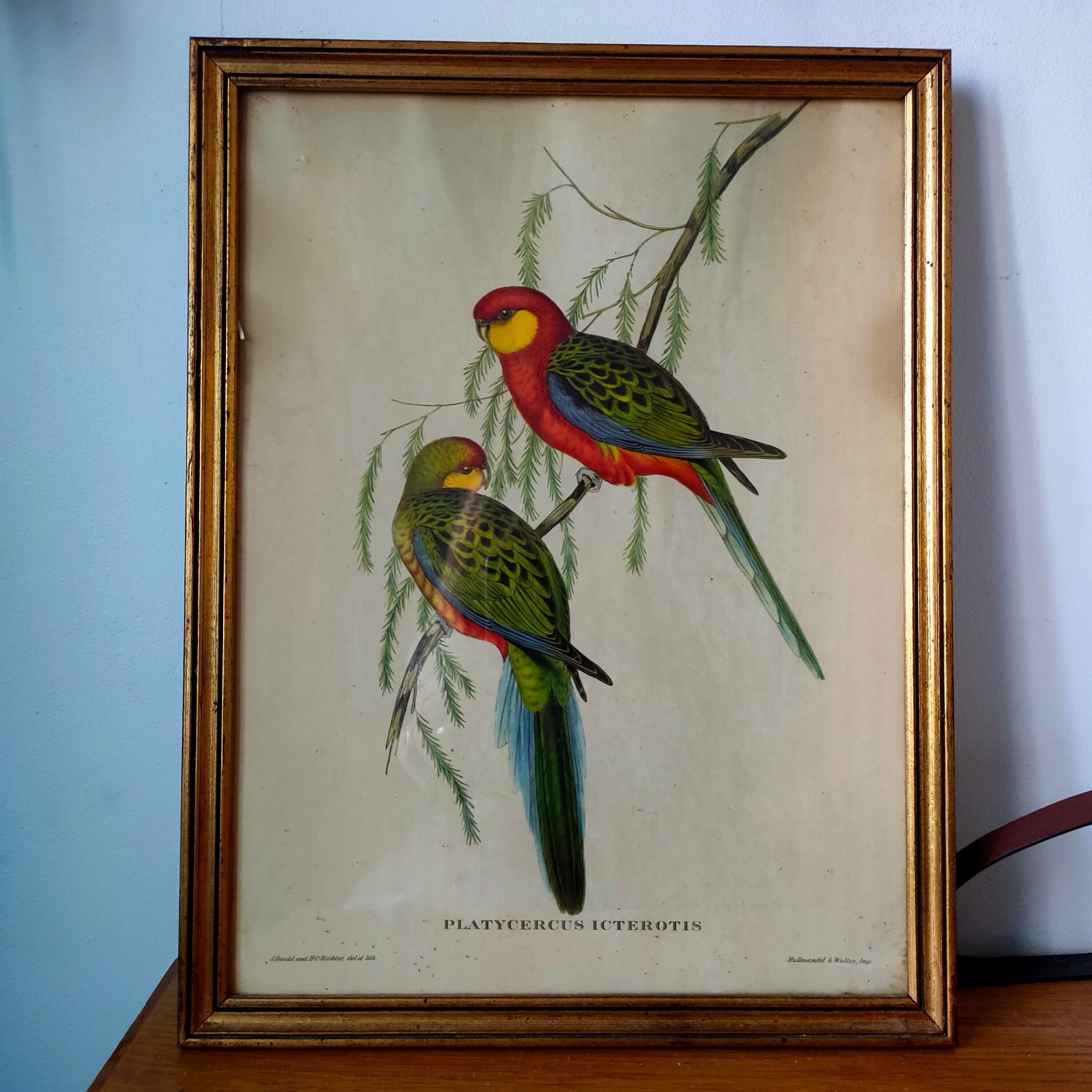 Ancient painting with exotic birds