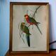 Ancient painting with exotic birds