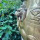 Large brass lion planter with a hallmark from the 19th century.