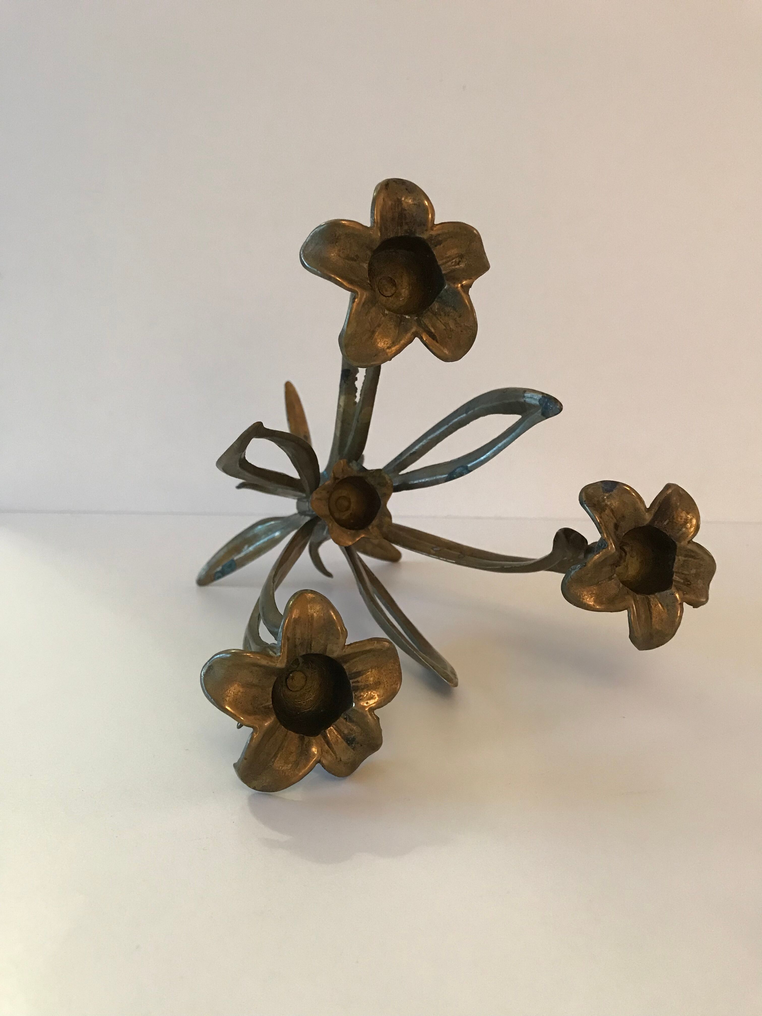 Candlestick lily flowers