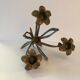 Candlestick lily flowers