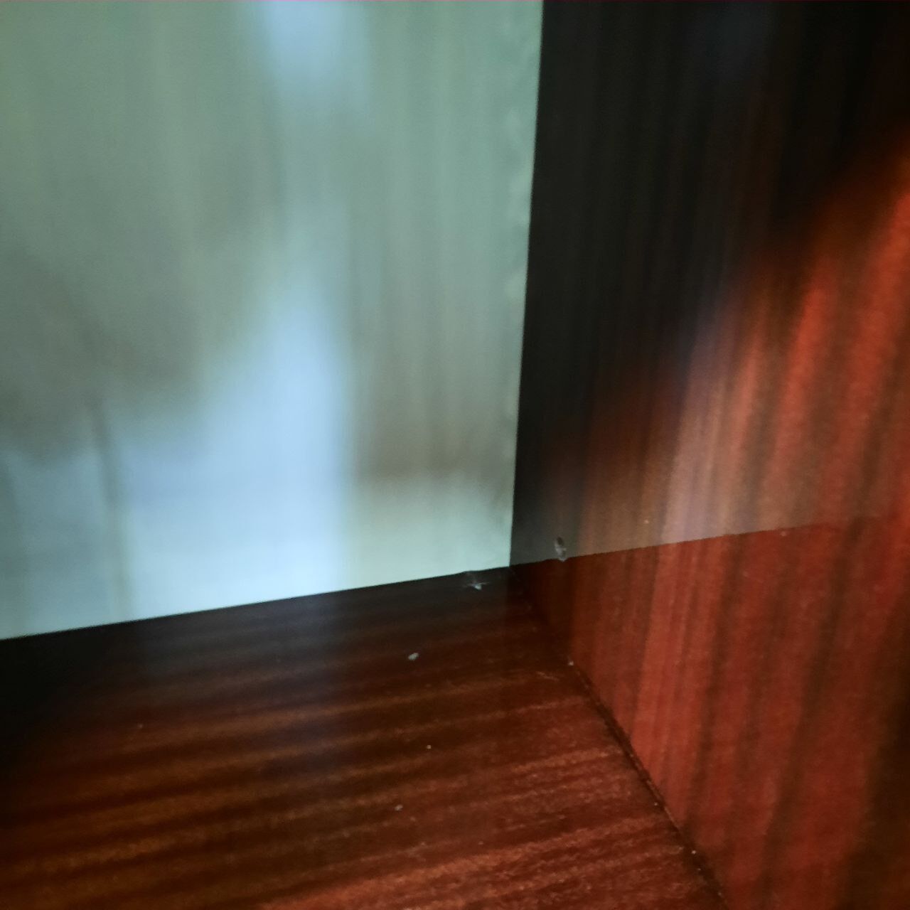 Wardrobe, 1950s bookcase, brass print / tips.