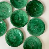8 plates in leaf slurry