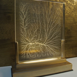 Maison Jansen office lamp 1970