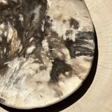 Very large pocket or dish in petrified wood
