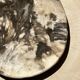 Very large pocket or dish in petrified wood