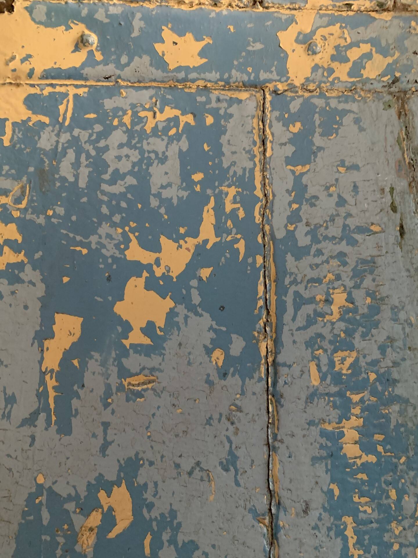 Blue patinated indian door with carved frame