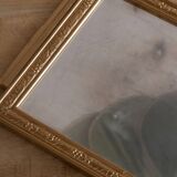 Mirror tray