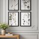Framed old herbariums, set of 4