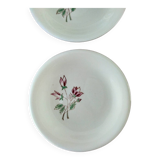 4 Salins dessert plates pink model Éric