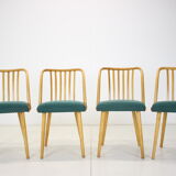 1960s Antonin Suman Set of Four Dining Chairs, Czechoslovakia