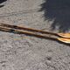 Paire de rames anciennes en bois