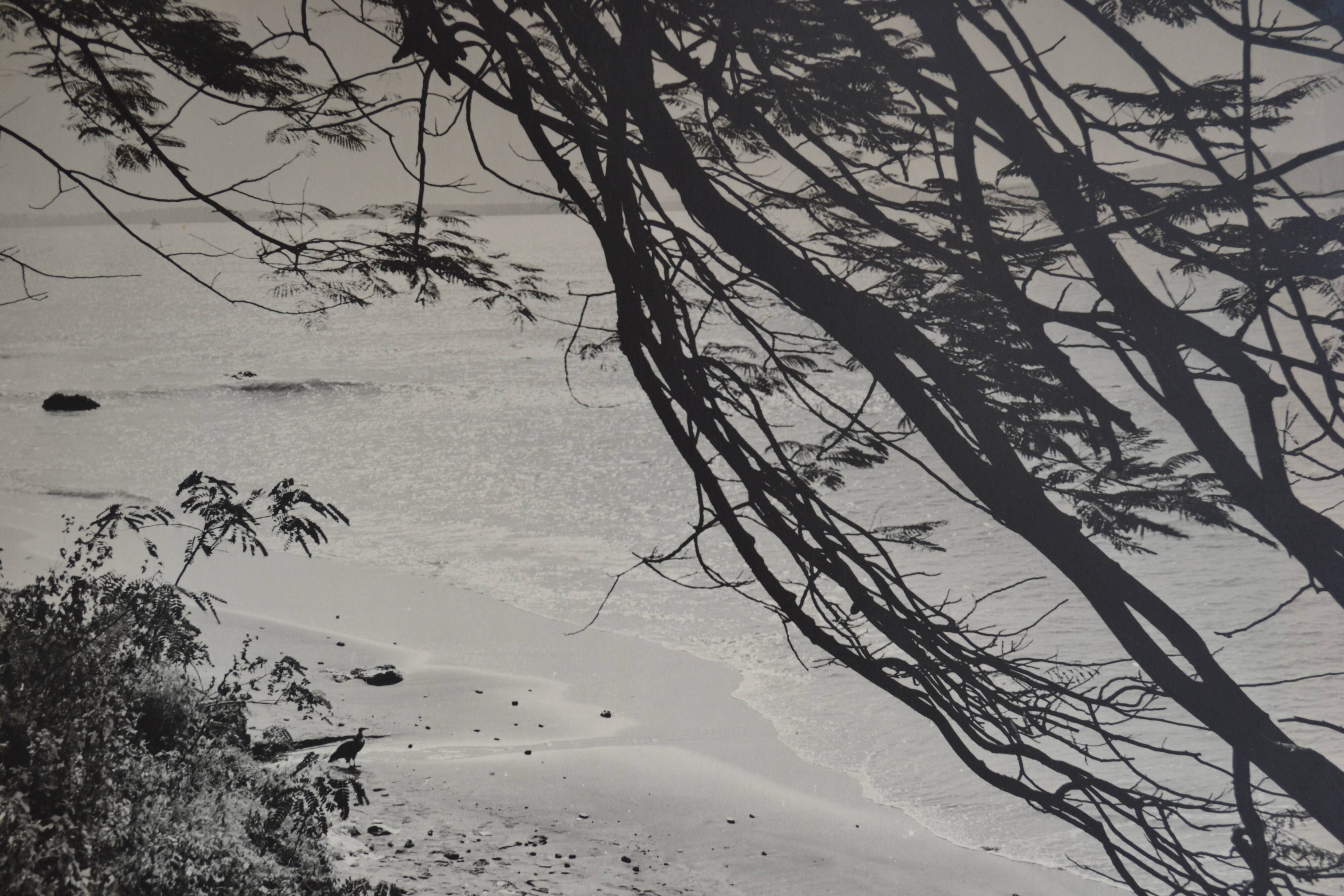 Anonymous silver photo africa beach sea circa 1970