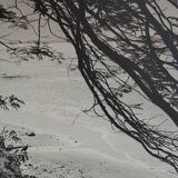 Anonymous silver photo africa beach sea circa 1970