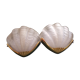 Art deco shape shell wall light