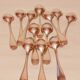 Old dessert spoons