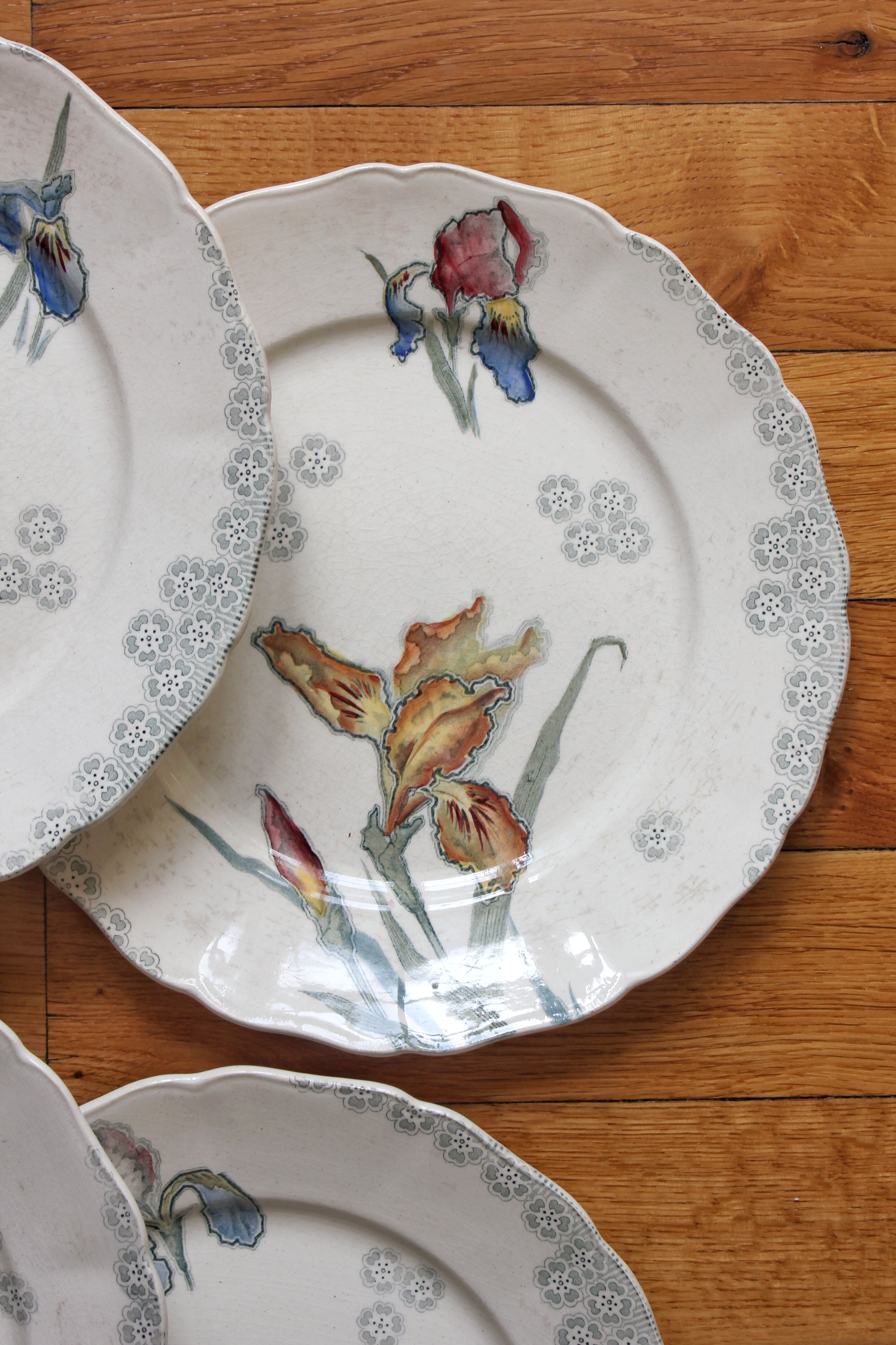 6 large flat plates in polychrome iron earth model "Iris" Choisy-le-Roi