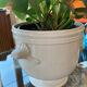 White porcelain pot cover