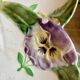 Set of 10 antique slip plates with flower decorations