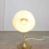 Mid-Century Italian Brass and Opaline Table Lamp