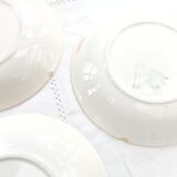 7 hollow plates Moulin des loups