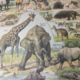 Lot de trois gravures aquarellées