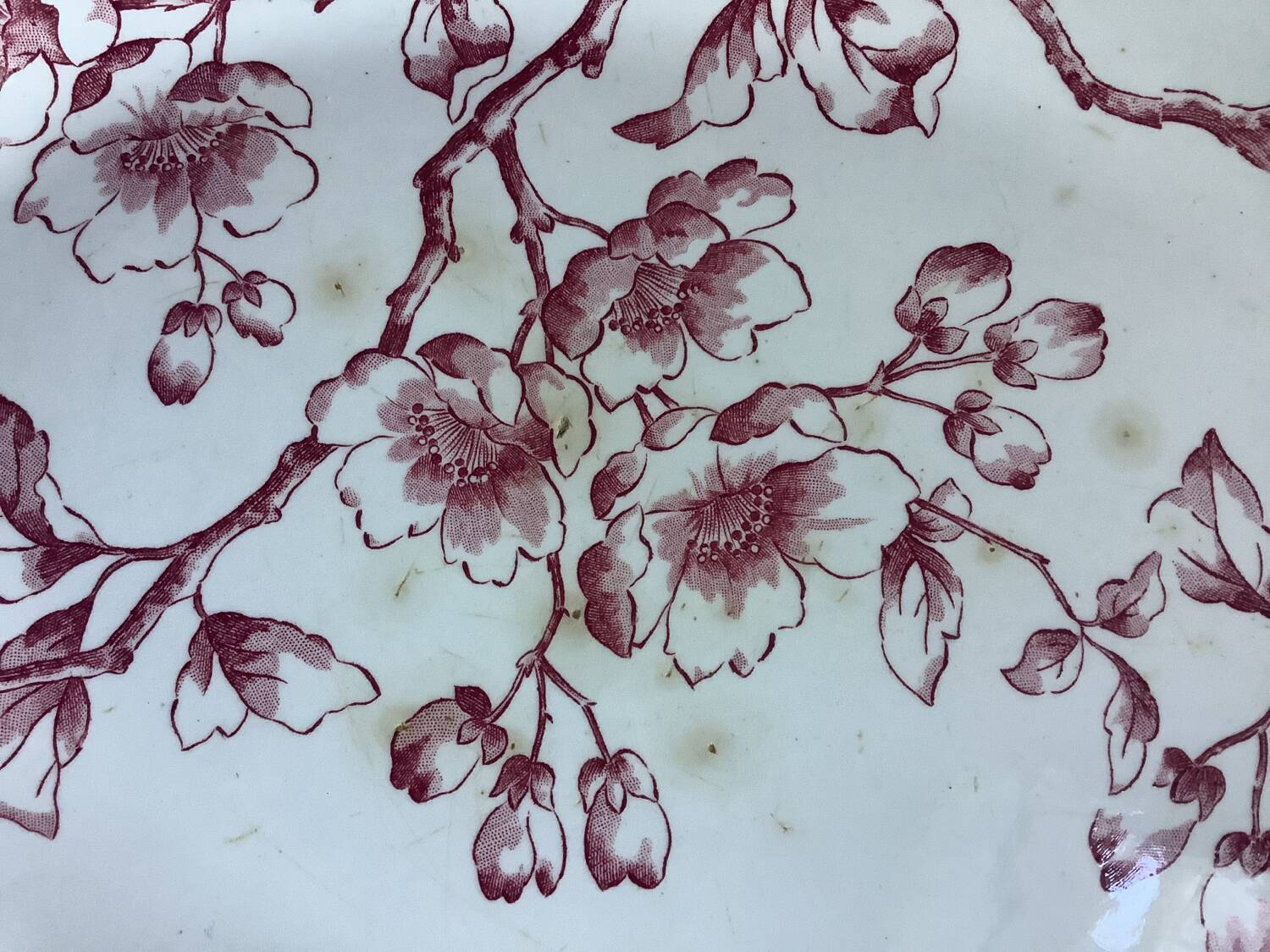 Antique Longwy dish, “Pommier” model in ironstone