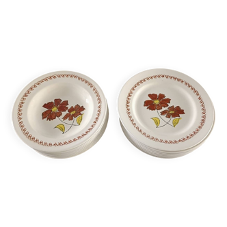 16 vintage plates