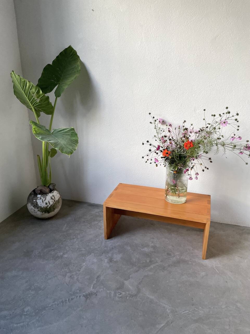 Maison Regain pine coffee table