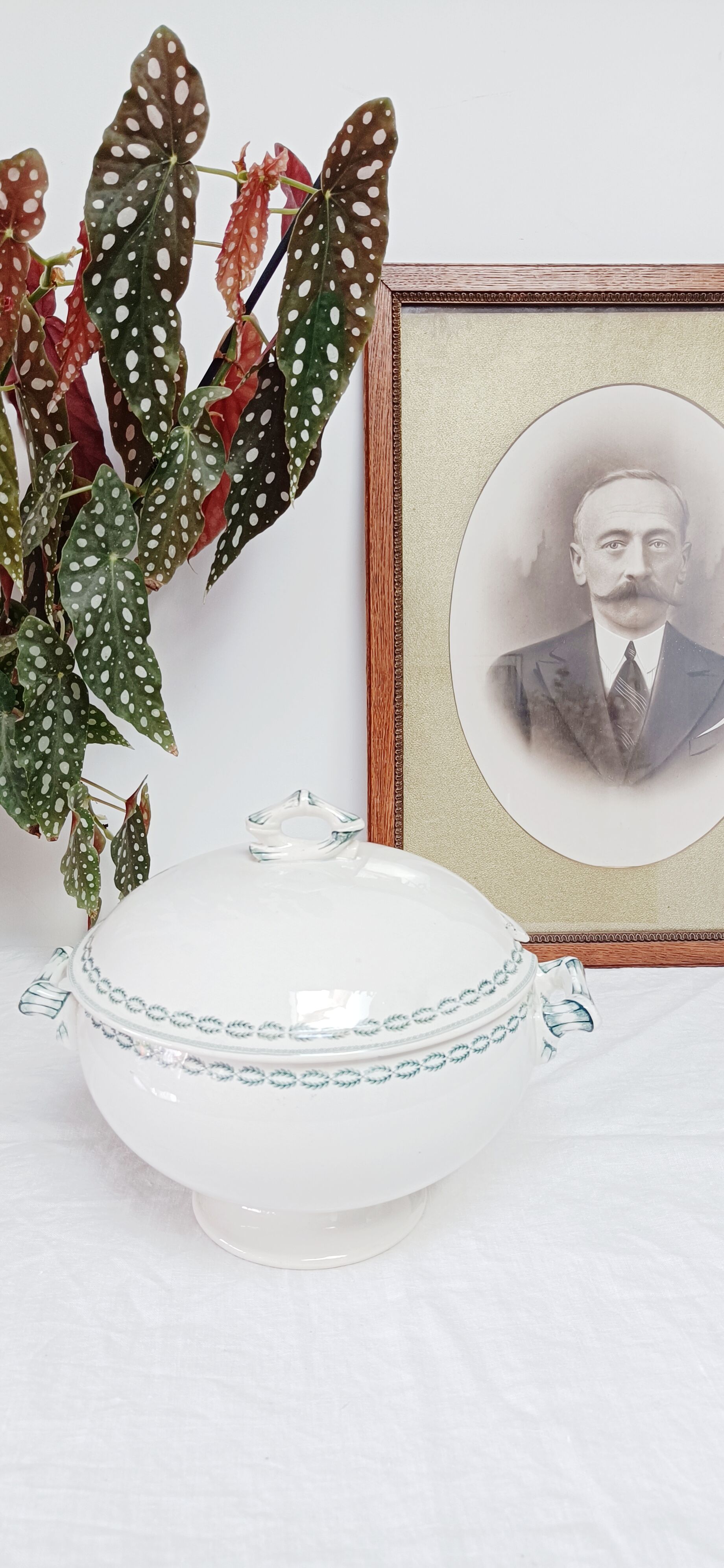 Sarreguemines U&C Iron Earth Soup Tureen, Nobilis