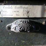 Furniture hardware
