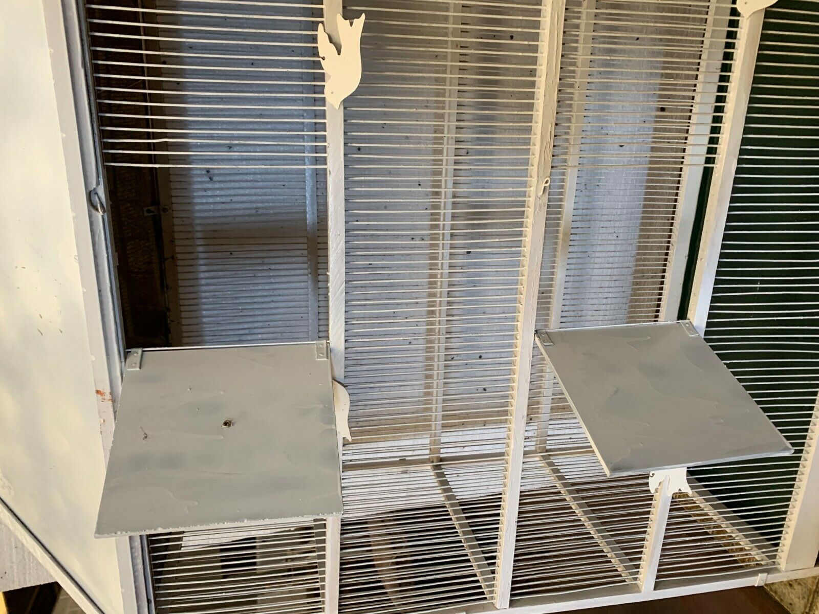 Cage has iron birds and prison volière has 20th century bars