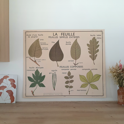 Nature posters