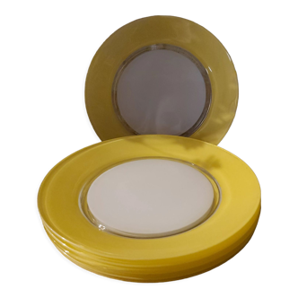 6 Duralex flat plates