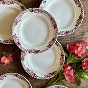 Set of 6 antique deep plates - Saint Amand Céranord