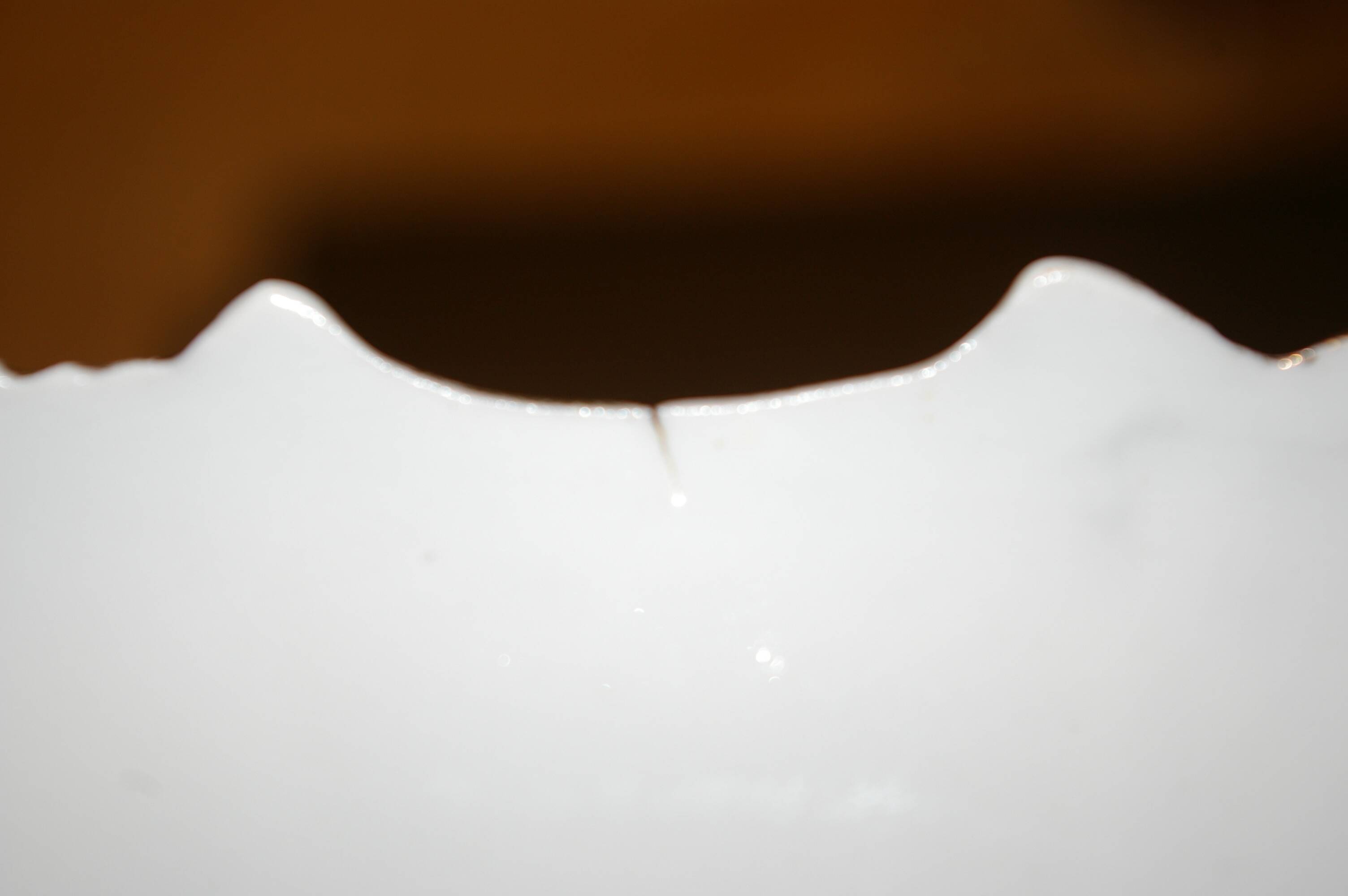 6 Assiettes à dessert en porcelaine de Limoges 1900 - Décor oiseau