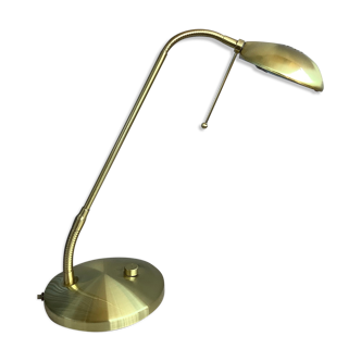 Flexible brass desk lamp