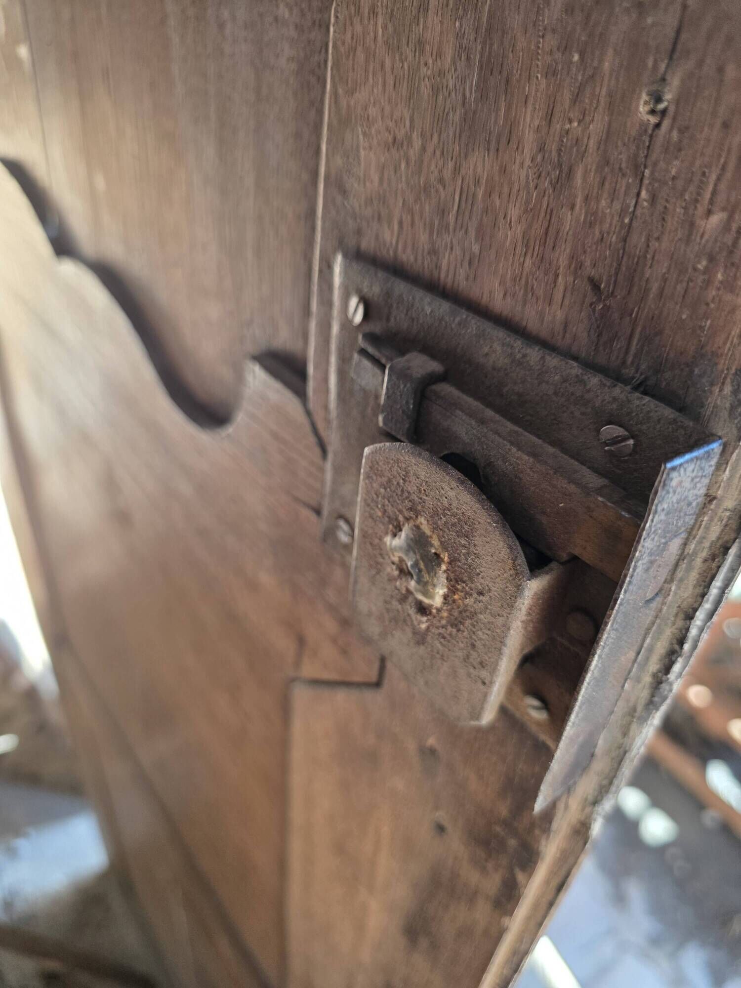 Pair of 19th-century oak cupboard doors