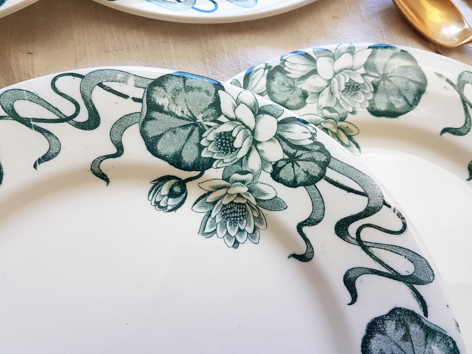 Lot de 6 assiettes plates Terre de Fer "Nénuphar" R&A Salins