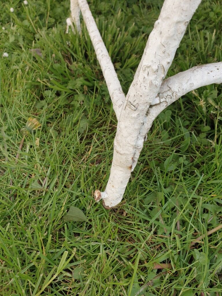 Garden chairs of Arras
