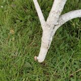 Garden chairs of Arras