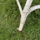 Chaises de jardin d'Arras