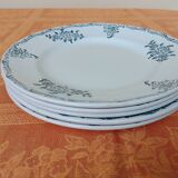 5 Terre de feu Saint Amand series 4010 plates in perfect condition