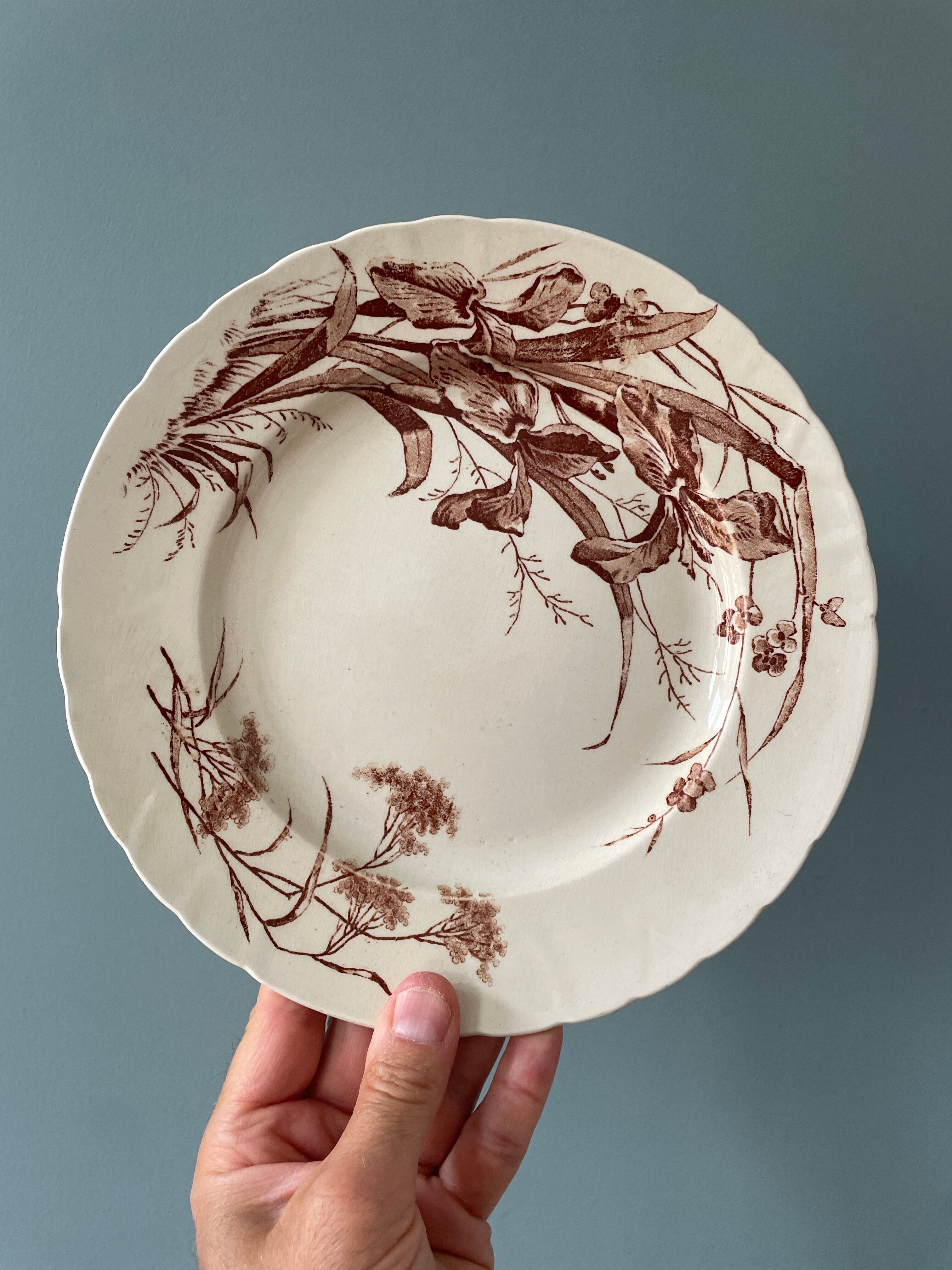 Lot de 2 assiettes Terre De Fer service « Flore »