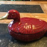 Duck in slip