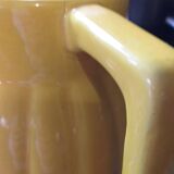 Yellow pitcher Orchies